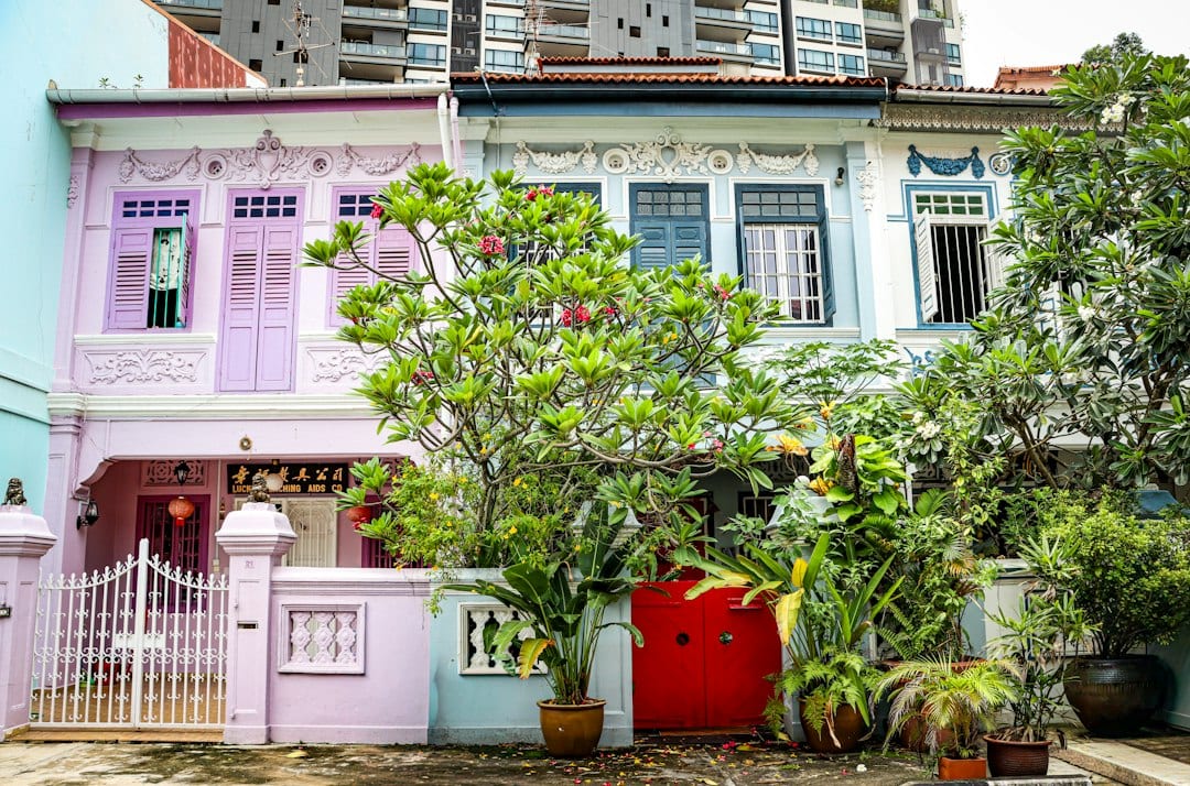 Tree-lined street of Singapore landed terrace houses